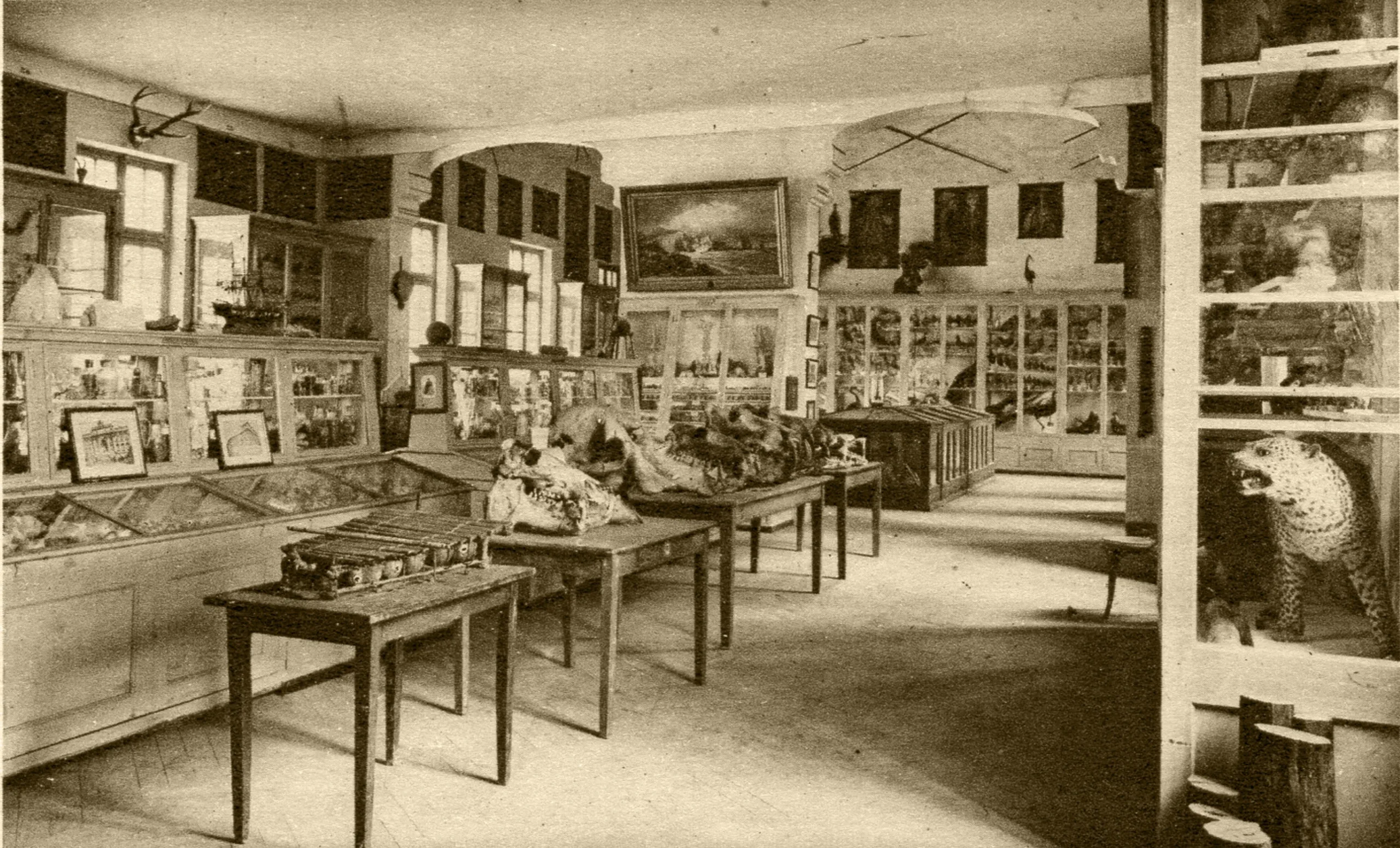 Capture-decran-2020-05-08-a-15.12.02