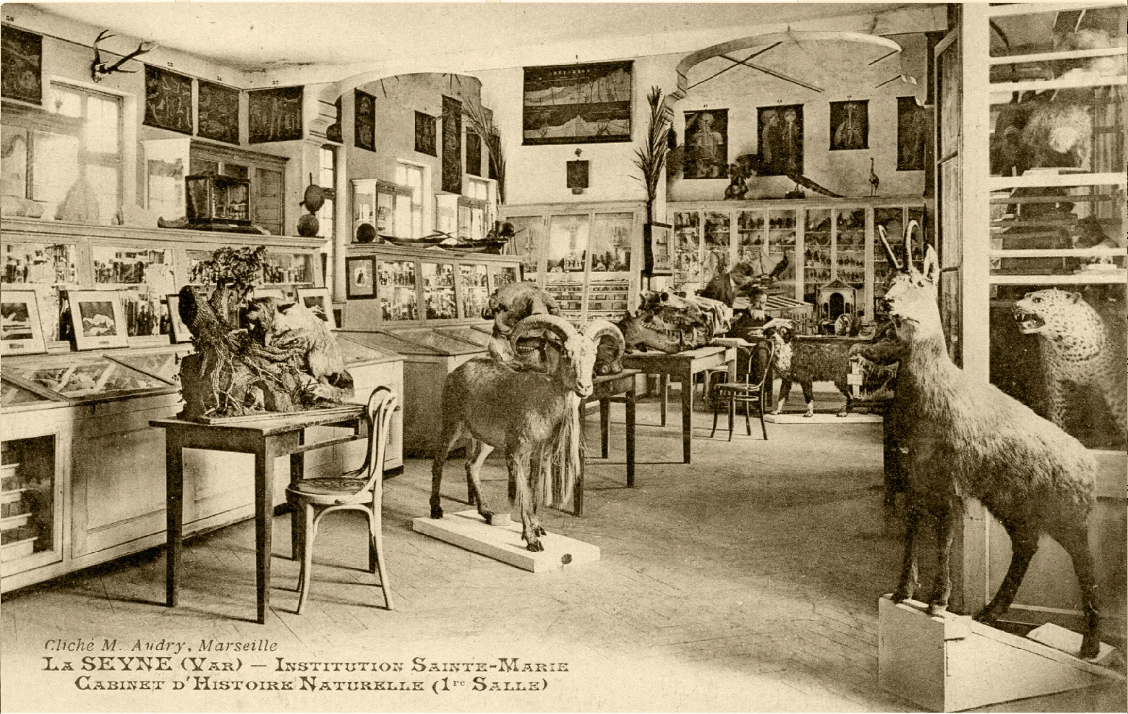 Capture-decran-2020-05-08-a-15.12.38