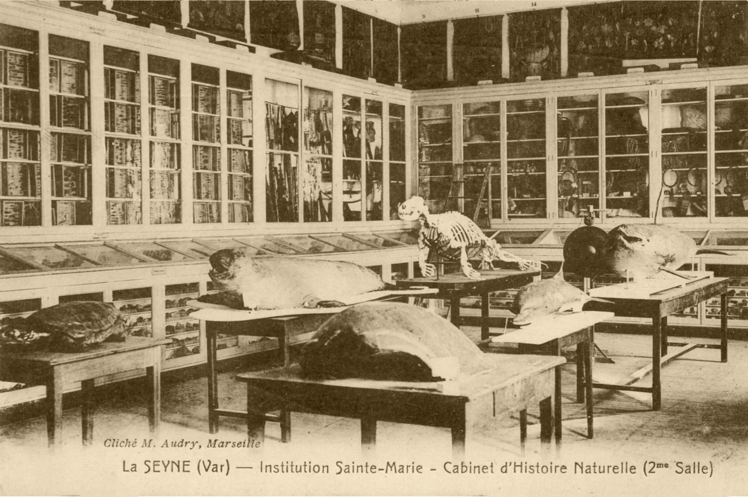 Capture-decran-2020-05-08-a-17.28.11