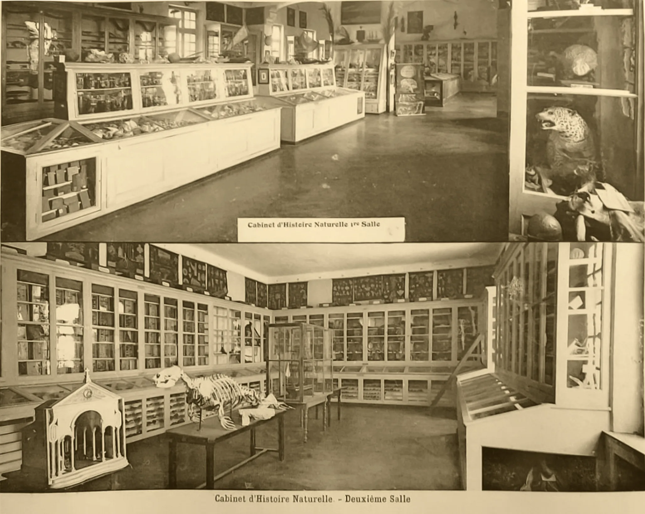 Capture d’écran 2021-04-10 à 07.05.19