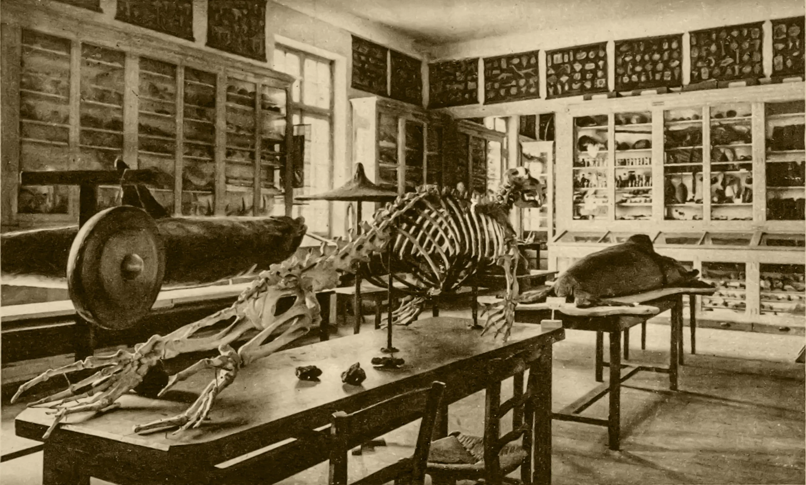 Capture-decran-2023-11-07-a-17.48.52AA