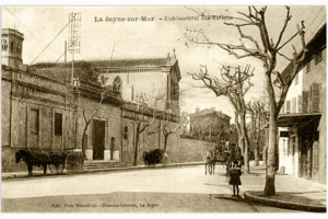 image-5